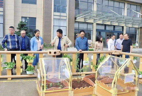 貝瑪教育 麗水市學(xué)前教育專(zhuān)家實(shí)地參觀指導(dǎo)，共促教育發(fā)展